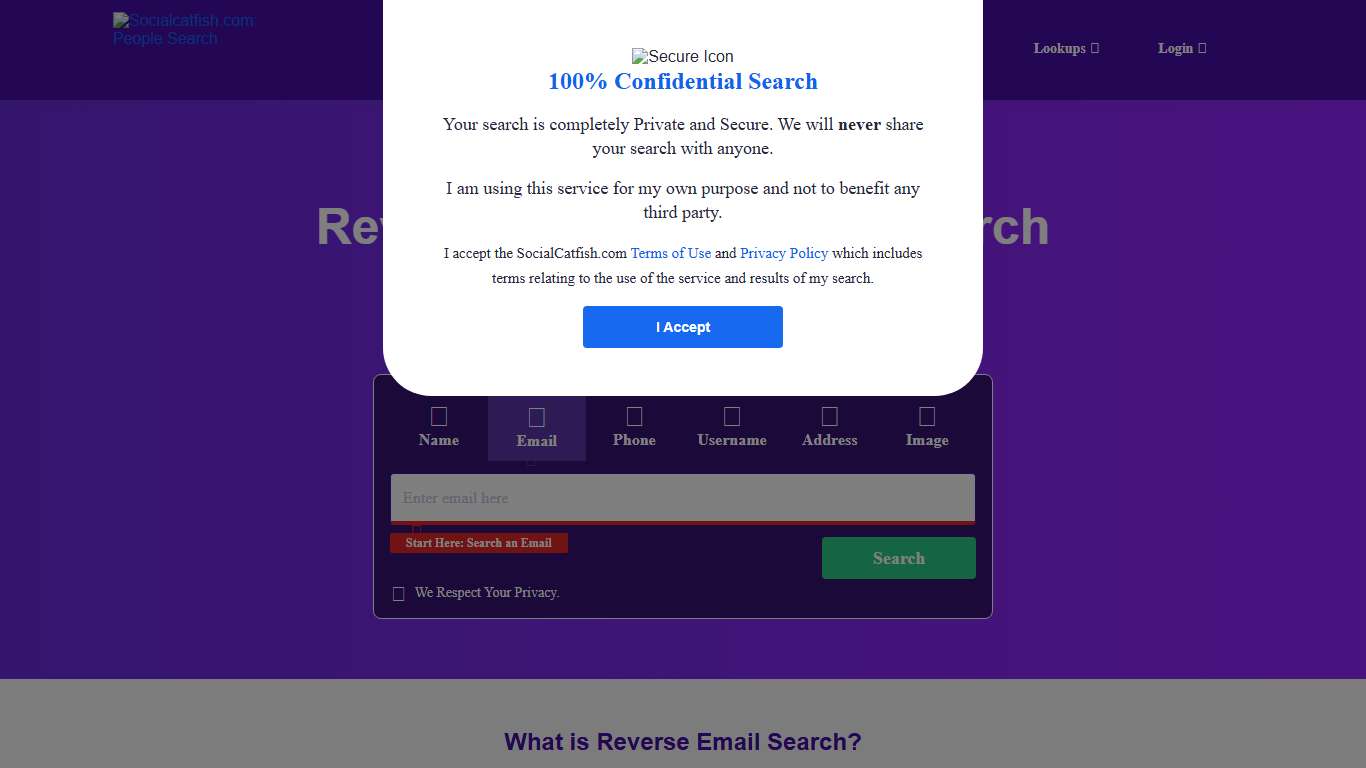 Reverse Email Address Search People Search - SocialCatfish.com